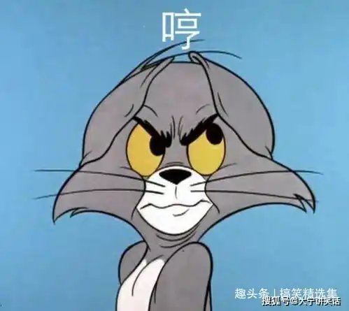 笑话十则鱼香肉丝不要辣,结果送来的就宫爆鸡丁和米饭
