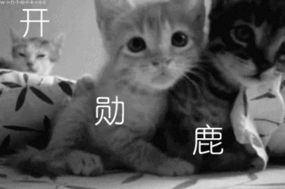exo一大波奇葩图再次来临
