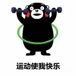 青春就要动起来1看我经管学子运动风采,积极备赛广播操
