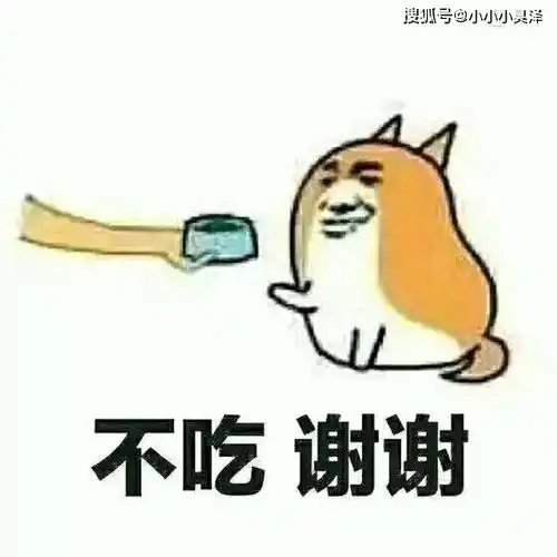 爆笑故事小小年纪就当了爸爸,只可惜养不活这只小狗,真悲哀
