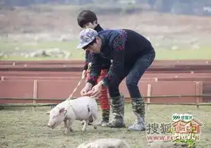 张小马vs萌乖乖爸爸去哪儿1.2季萌宠大对比
