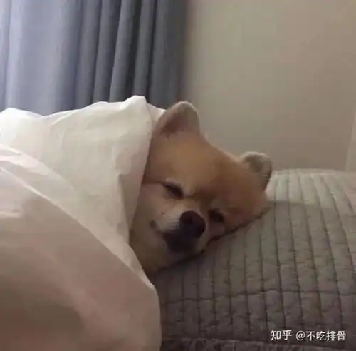 一分钟判断这家公司该不该买
