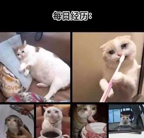 以下哪一张图总结了你的2019
