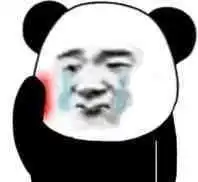 熊猫头表情包i你就是嘴硬欠吻
