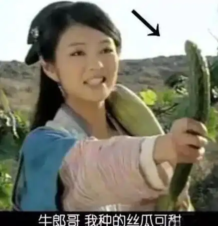 搞笑的穿帮镜头图三把黄瓜当丝瓜来忽悠观众,图五你不笑算我输
