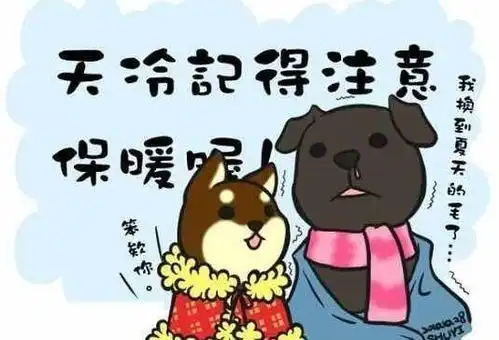 今天杭州热晕了冷空气马上杀到,暴降10更想不到的是
