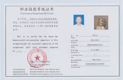 厨师证办理必备一寸照片要求与拍照攻略

