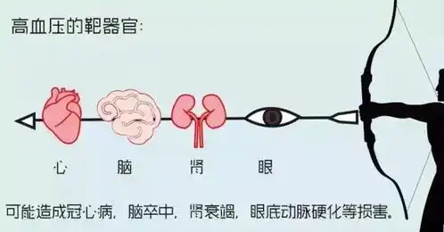 高血压病漫画图解
