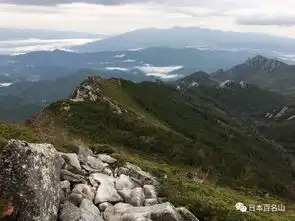 东京龙脉所在,竟然如此绝美
