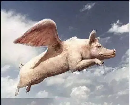 十年,曾经说过的话,你还记得吗
