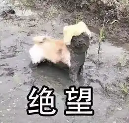 隔代带娃其患无穷别再黑父母了,我们已经欠他们太多
