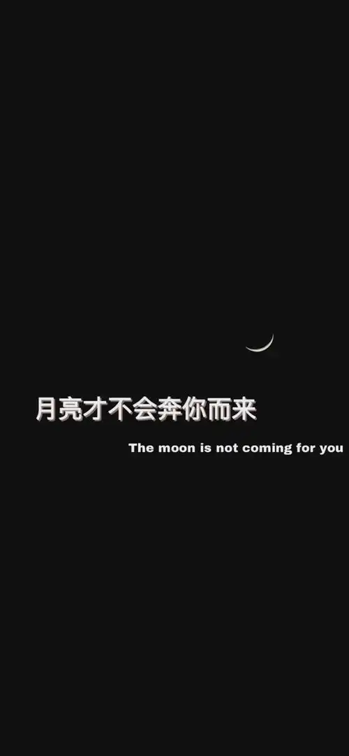 抖音热门壁纸推荐
