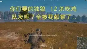 绝地求生大逃杀15倍镜的ak什么体验感觉买了一个假游戏...
