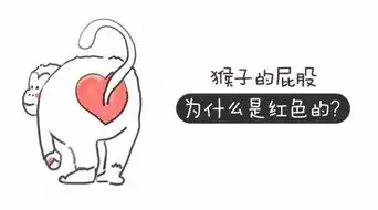 天津动物园的猴屁股为什么变红了看图片前请做好思想准备
