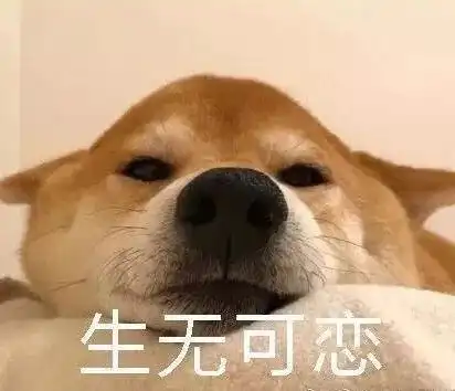 除了手机,生活中有趣的事情还有这么多
