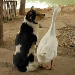 搞笑段子我从八楼就听见你笑的了你高兴的什么

