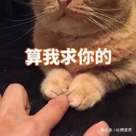 搞笑gif趣图林志玲结婚了,内衣店老板不淡定了
