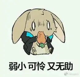 未来如何走
