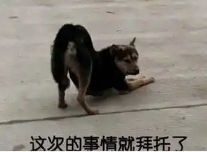 天凉了,你们都是靠情人取暖的吗
