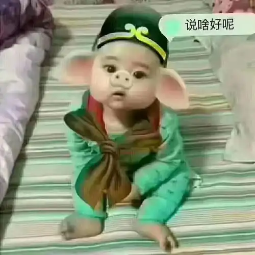 舞帝9629湗吣
