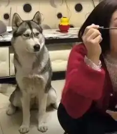 搞笑图片说好的出门遛狗呢,已经两个小时过去了还在化妆
