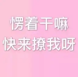小公举

