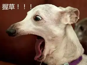 一看这表情,就知道你做足疗的
