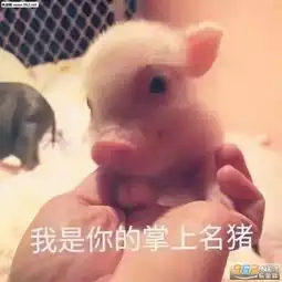 搞笑段子男老婆,我可能不行了,你再找一个,女找好了
