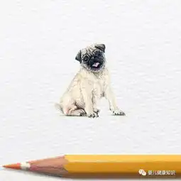经典语录
