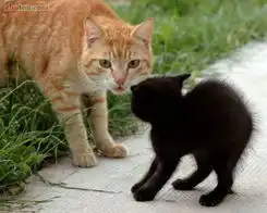 看你把小mm吓的
