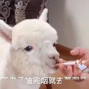 5家差评最多的淘宝店第一家你绝对买过
