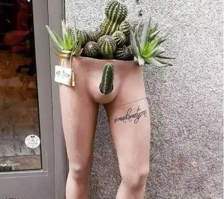 这么好的姑娘不多了,醒来就娶了吧
