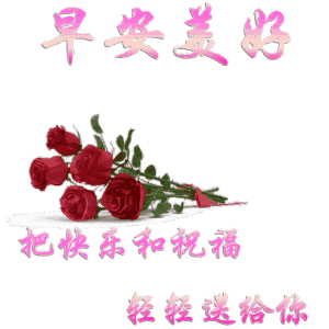 早上好图片大全,最美的图片给最美的你
