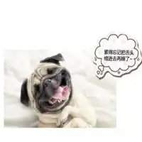 累死宝宝了图片微信头像图片大全
