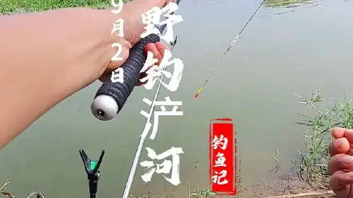 钓鱼钓鱼的乐趣只有钓鱼人懂钓鱼人钓鱼日记野钓
