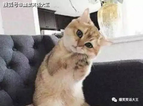 笑话晚上感冒不想动,躺在床上,老婆过来说
