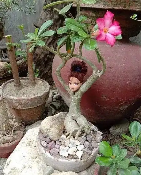 搞笑图片姑娘,这你都能翻车,能不能行啊
