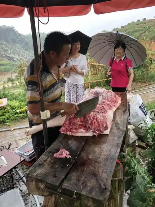 杀猪摘果备年货,这才是年前最正确的打开方式
