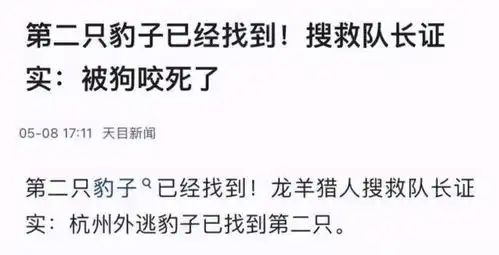 杭州第二只逃跑豹子疑似与四只烈性犬搏斗毫无招架能力
