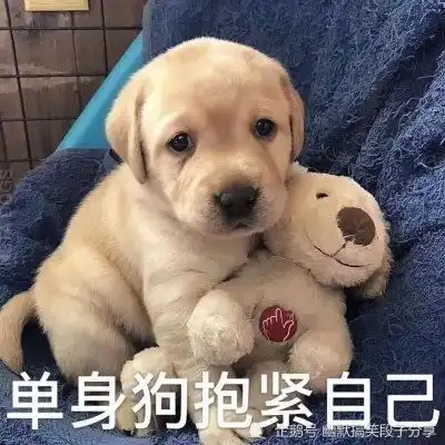 搞笑段子公交司机一个急刹车,旁边妹子没站稳狠狠抓住了俺的头
