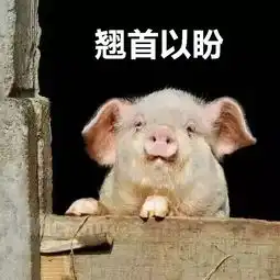 清远将规划brt有轨电车水上巴士,终于不用再塞车了
