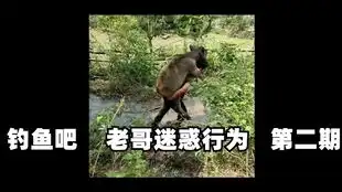 人生四大喜事,你完成了几件网络上那些搞笑的沙雕图
