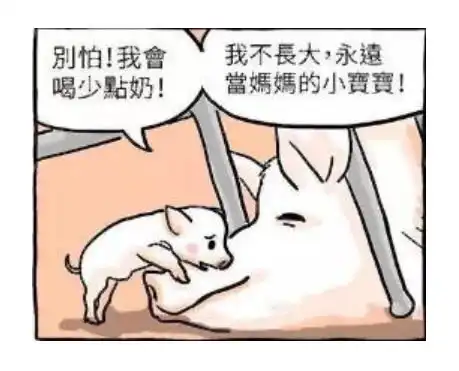 搞笑漫画母猪对小猪说,孩子你要慢点长,结局依然让人心酸
