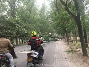 北京多条干道树被大风刮倒北三环严重拥堵组图
