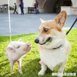开心一刻笑话女友是初中老师,下班去接她,正好很多家长在接学生
