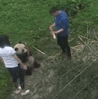 搞笑图片幽默段子笑话爸爸,我强烈要求做一个亲子鉴定
