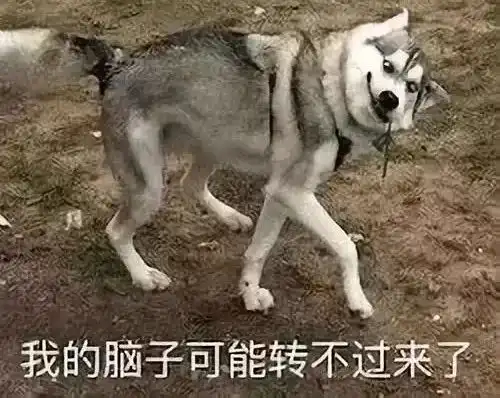爆笑一刻小伙贴寻狗启事有人捡到想养就养,我遭不住了结果笑喷
