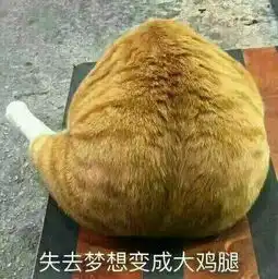 失去梦想变成鸡腿
