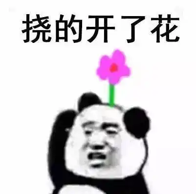 熊猫头表情包i你只是个傻逼,我理你干嘛
