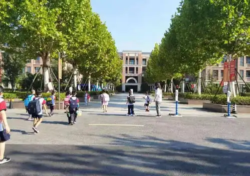 图集图集︱来看神兽归笼的样子,直击上海多所学校开学第一天澎湃新闻thepaper
